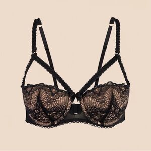 NWT Adore Me Kimmy Push Up Bra